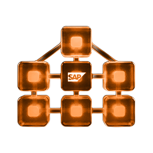 Total-SAP-Ownership