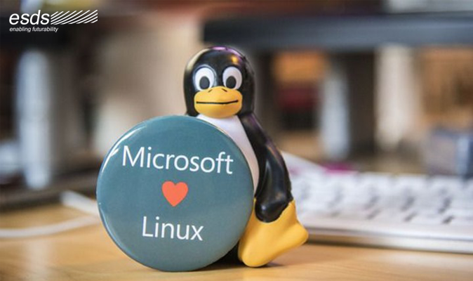 Microsoft Love Linux