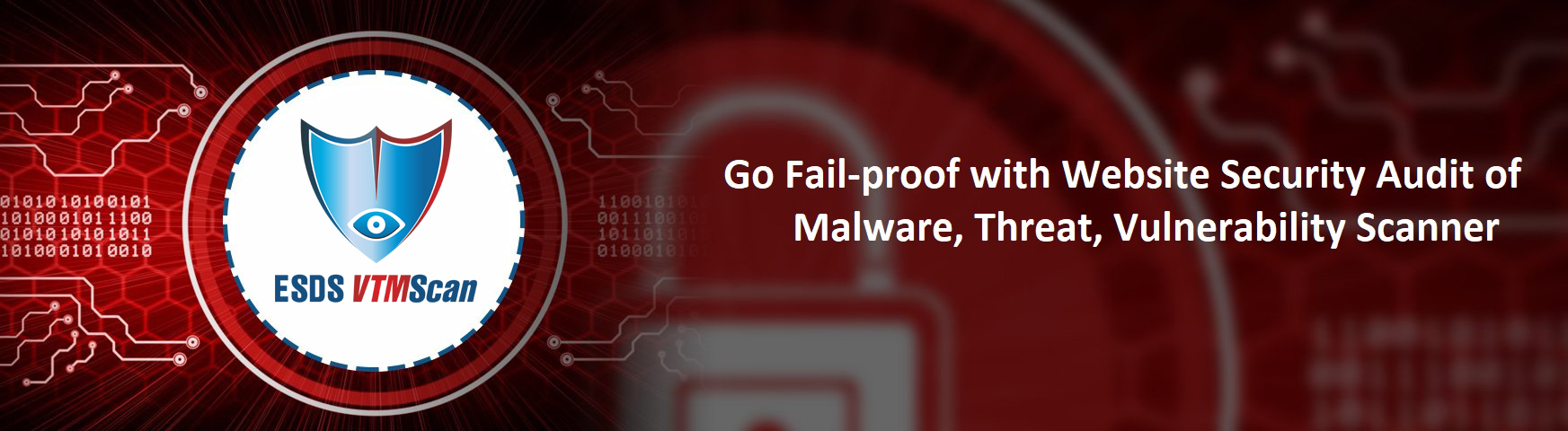 website security audit with ESDS VTMScan