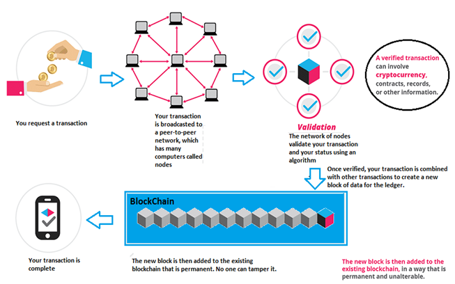 Blockchain Netword