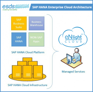 AP HANA Enterprise Cloud Architecture