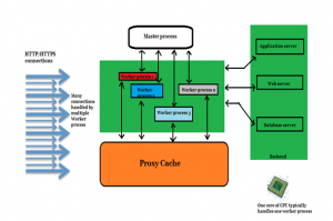 What is Nginx