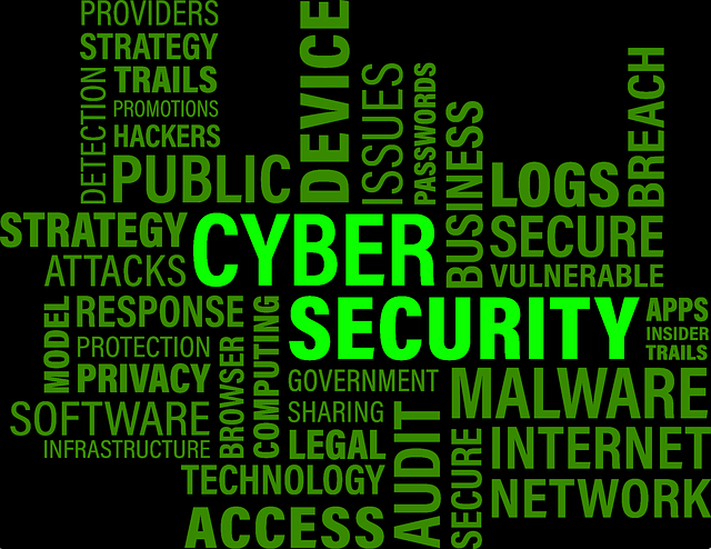 Cybersecurity Threats 1