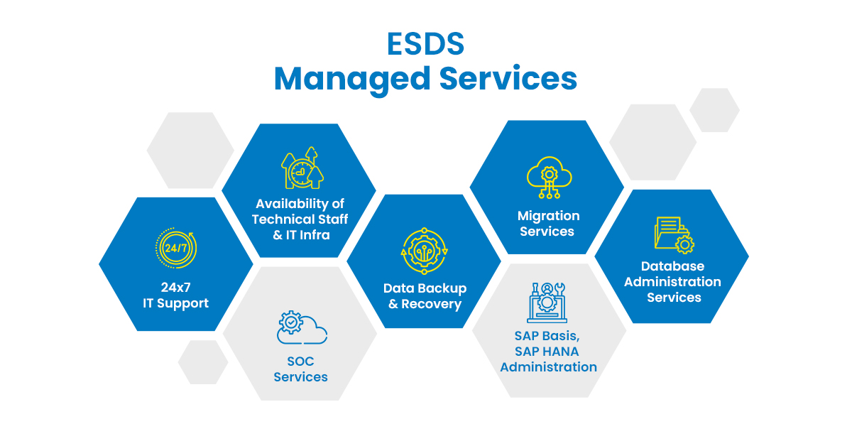 ESDS Managed Services