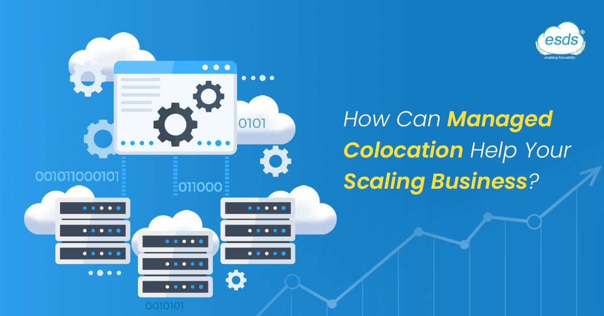 Managed Colocation ESDS