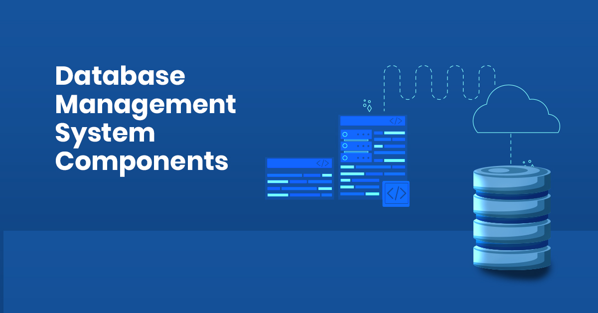 Database Management System Components