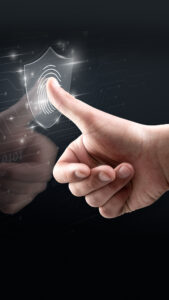 You gain access to a collective professional team