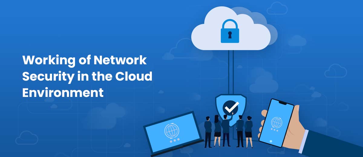 working of network security in the cloud environment