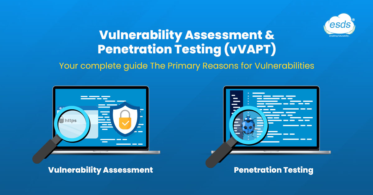 Vulnerability Assessment & Penetration testing