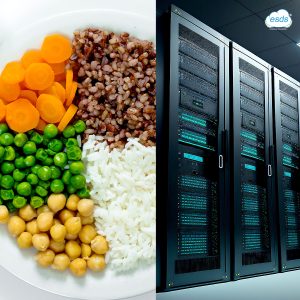 Nourishing Uptime: How Sattvic Food Elevates Data Center Performance