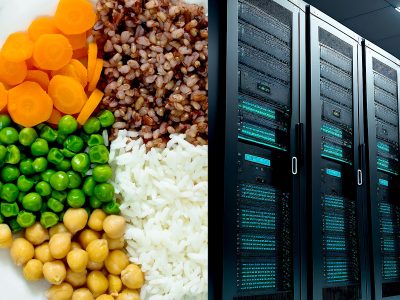 Nourishing Uptime: How Sattvic Food Elevates Data Center Performance