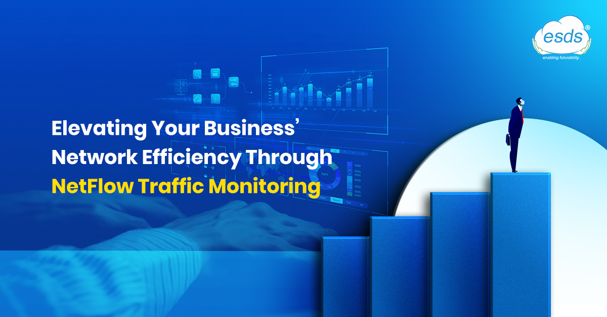 NetFlow Traffic Monitoring