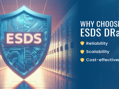 Why Choose ESDS DRaaS?