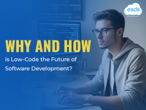 Low-Code Development Platform