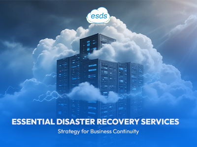 Colocation hosting services