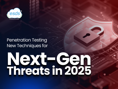 vulnerability assessment and penetration testing