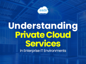 ESDS Private cloud services