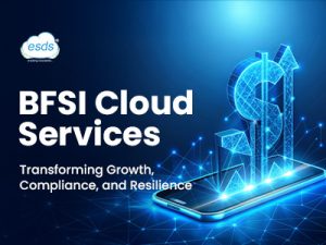 BFSI Cloud services