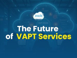 VAPT Services—ESDS software solution