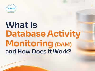 Database Activity Monitoring (DAM)