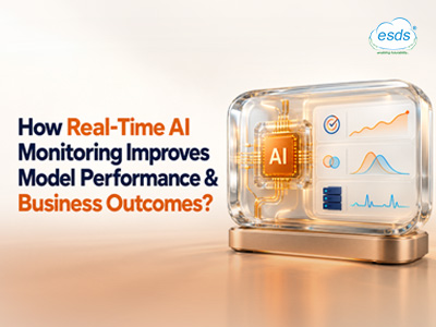 Real-Time AI Monitoring for Better Model Performance