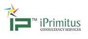 iPrimitus Consultancy Services