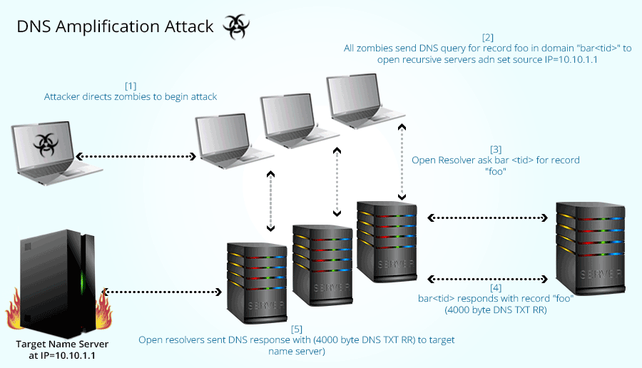 DNS Amplification Attack