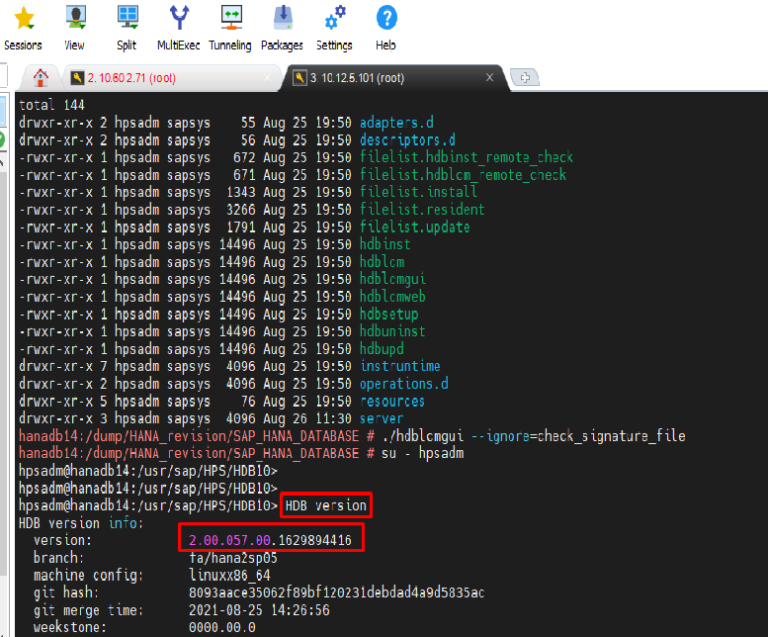 A step-by-step guide on how to Upgrade HANA DB Revision