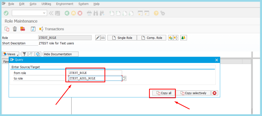 create a role in SAP system 13